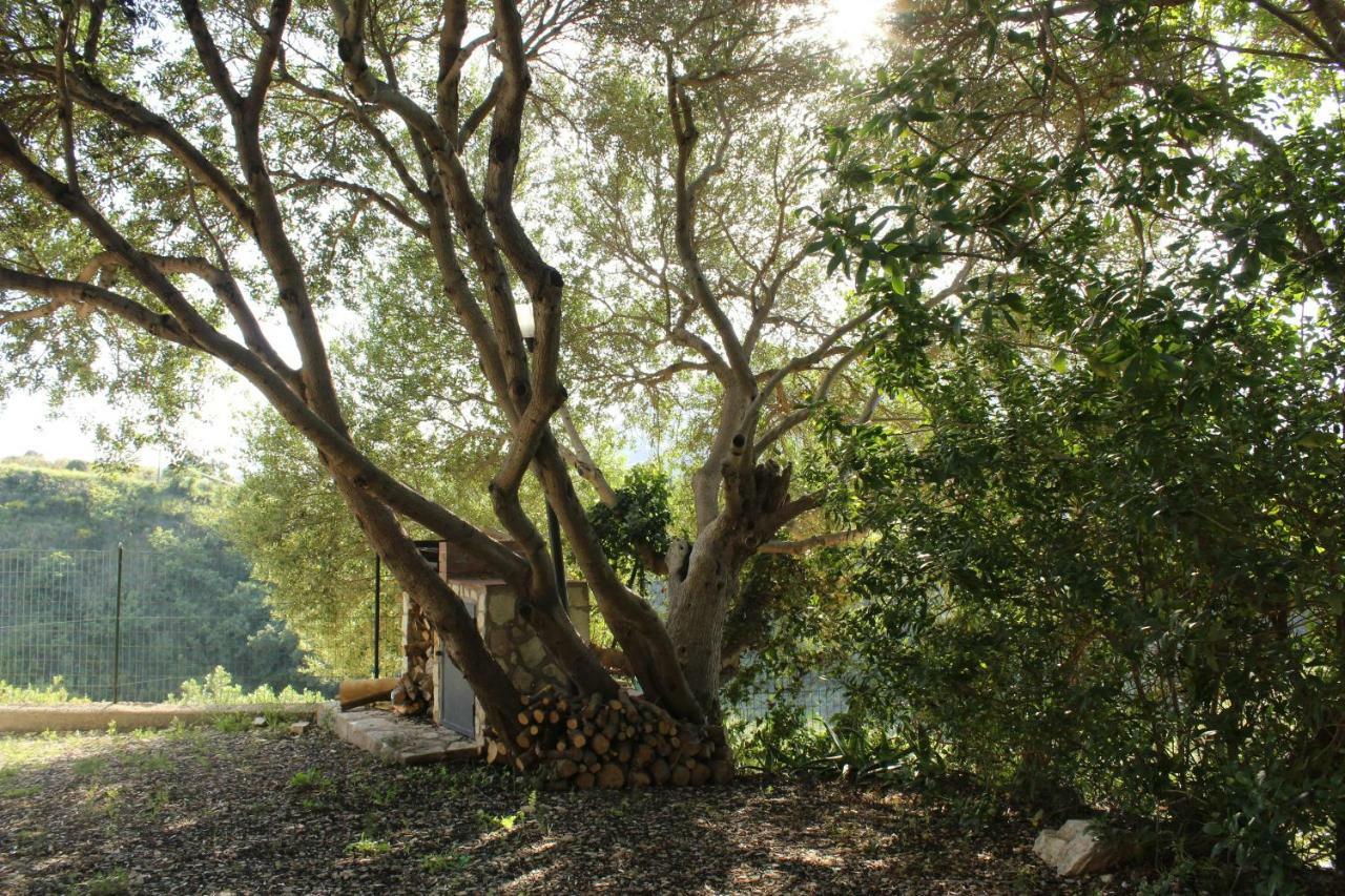 Rustici L'Antico Torchio Villa กัสเตลลัมมาเร เดล โกลโฟ ภายนอก รูปภาพ