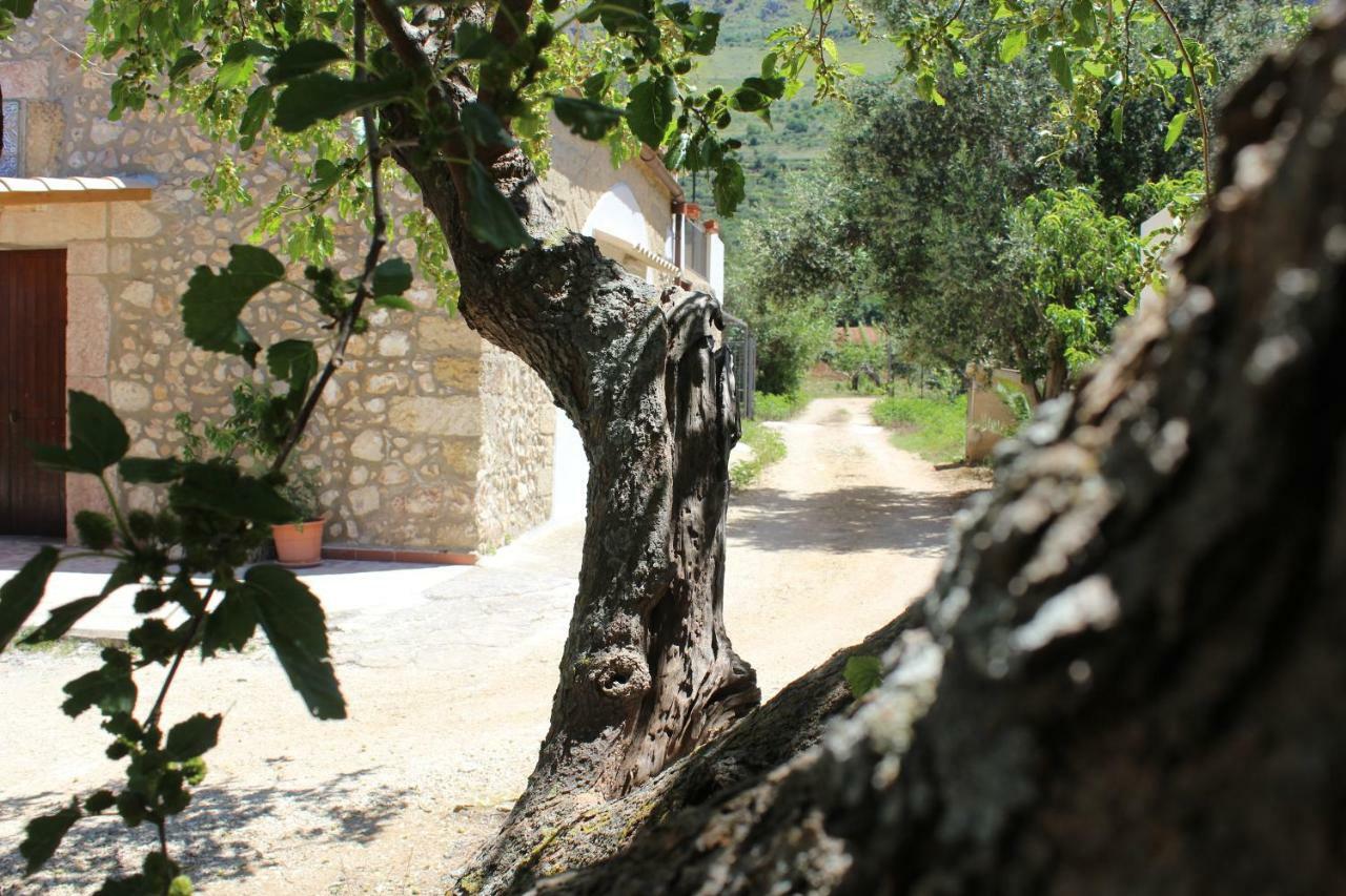 Rustici L'Antico Torchio Villa กัสเตลลัมมาเร เดล โกลโฟ ภายนอก รูปภาพ
